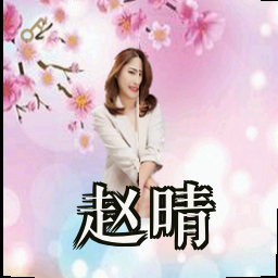 赵晴